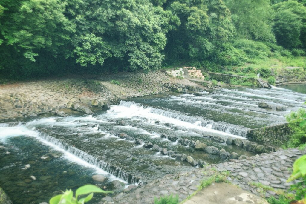 EE35フィルムカメラ