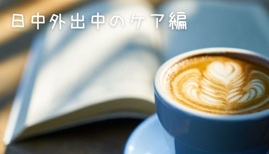 【日中の鉄則】ムズムズしても「絶対に掻かない」ためのレスキュー